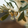 Amazonite Luna Earrings