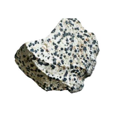 Dalmatian Jasper Stone on clear background 