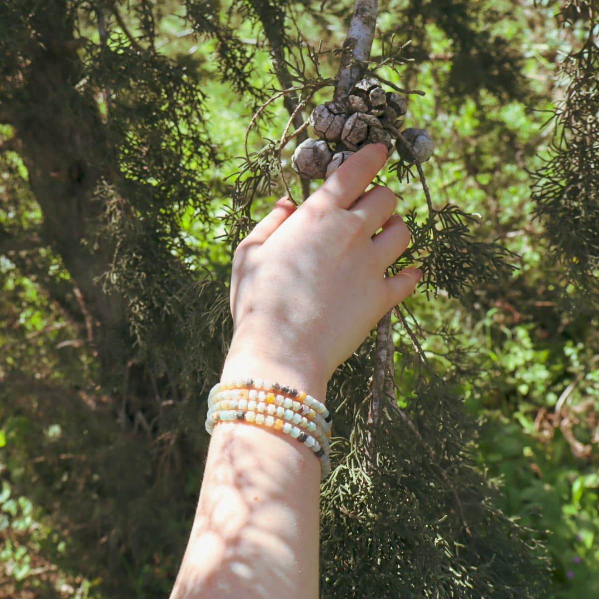 Hand with bracelets touching a branch of a tree