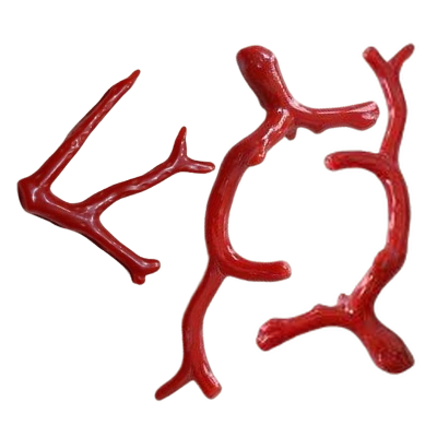 row Red Coral on a clear background